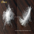 Factory Yintex 2-4cm washed goose down/goose feather